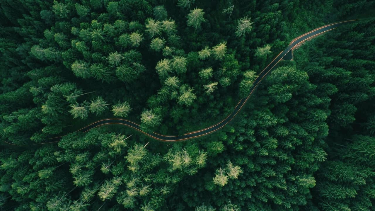 Waldlandschaft mit Straße aus der Vogelperspektive